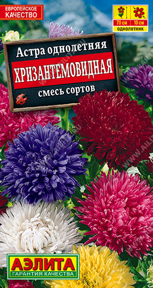 картинка Астра Хризантемовидная, смесь окрасок 0,2г ц/п (Аэлита) Новинка магазин Одежда+ являющийся официальным дистрибьютором в России 