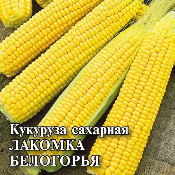 Кукуруза Лакомка Белогорья сахарная 1кг (ПрСидс) 