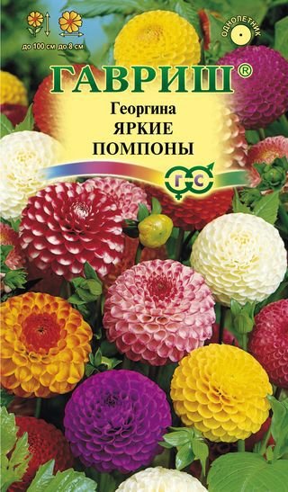 картинка Георгина Яркие помпоны 0,2г ц/п (Гавриш) магазин Одежда+ являющийся официальным дистрибьютором в России 