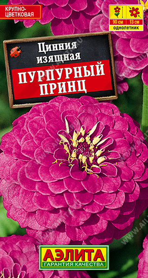 картинка Цинния Пурпурный принц 0,3г ц/п *(Аэлита) 70см,сирен.крупн. магазин Одежда+ являющийся официальным дистрибьютором в России 
