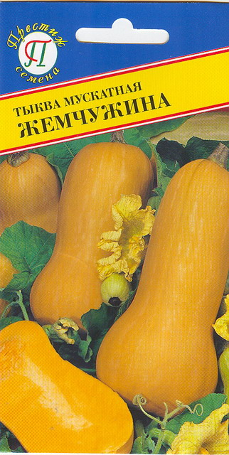 картинка Тыква Жемчужина мускатная 5шт (Престиж) поздняя,масса до 7кг. магазин Одежда+ являющийся официальным дистрибьютором в России 