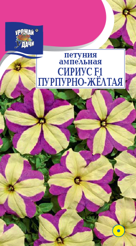 Петуния Сириус Пурпурно-желтая F1 10шт ц/п (УУ) ампел.