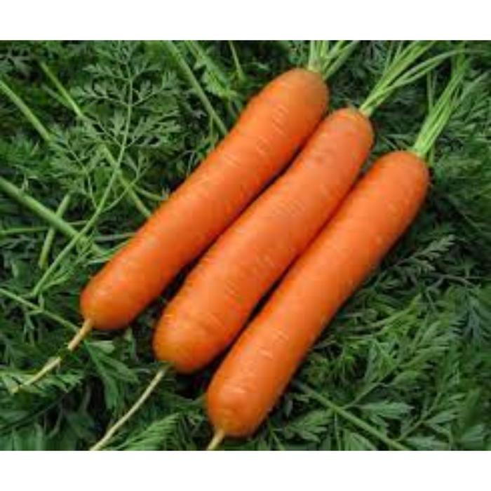 Морковь Нантская 1кг (Премиум Сидс)