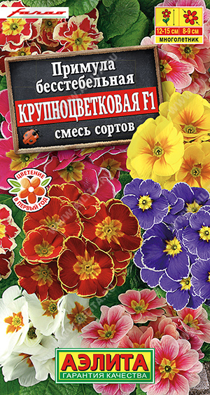картинка Примула Крупноцветковая F1 7шт смесь окрасок ц/п (Аэлита) магазин Одежда+ являющийся официальным дистрибьютором в России 