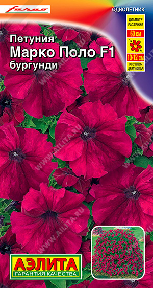 картинка Петуния Марко Поло Бургунди F1 ц/п *(Аэлита) магазин Одежда+ являющийся официальным дистрибьютором в России 