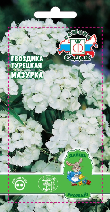 картинка Гвоздика турецкая Мазурка 0,5г ц/п (Седек) белая магазин Одежда+ являющийся официальным дистрибьютором в России 