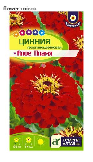 картинка Цинния Алое пламя 0,2г ц/п (СемАлт) георгин. магазин Одежда+ являющийся официальным дистрибьютором в России 