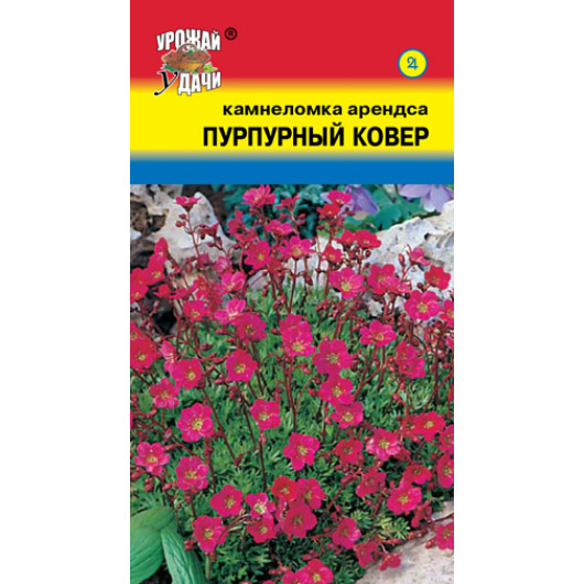 картинка Камнеломка Пурпурный ковер 0,01г ц/п (УУ)  магазин Одежда+ являющийся официальным дистрибьютором в России 