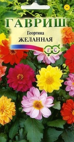 картинка Георгина Желанная, смесь 0,3г ц/п (Гавриш) магазин Одежда+ являющийся официальным дистрибьютором в России 