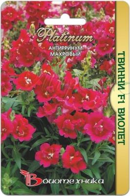картинка Антирринум Твинни Виолет F1 10шт (Биотехника)  магазин Одежда+ являющийся официальным дистрибьютором в России 