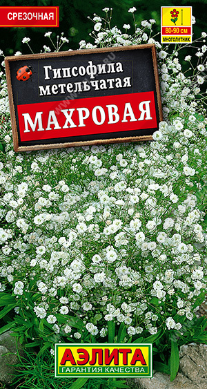 картинка Гипсофила Махровая 0,05г ц/п (Аэлита) магазин Одежда+ являющийся официальным дистрибьютором в России 