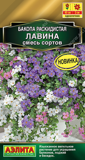 картинка Бакопа Лавина, смесь сортов 3шт ц/п (Аэлита) Новинка магазин Одежда+ являющийся официальным дистрибьютором в России 