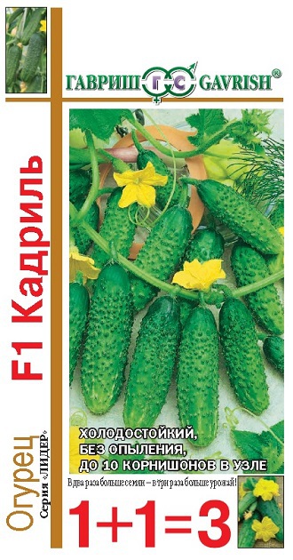 картинка Огурец Кадриль F1 серия 1+1/20шт ц/п (Гавриш) партеник. магазин Одежда+ являющийся официальным дистрибьютором в России 