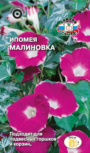 картинка Ипомея Малиновка 0,25г ц/п (Седек) магазин Одежда+ являющийся официальным дистрибьютором в России 