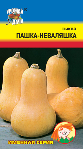 картинка Тыква Пашка-Неваляшка 1г ц/п (УУ) ср.спел.тип гитара, 6-7кг магазин Одежда+ являющийся официальным дистрибьютором в России 