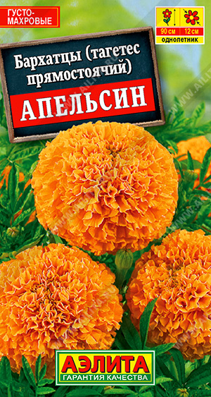 картинка Бархатцы Апельсин 0,3г ц/п (Аэлита) 90см/12см магазин Одежда+ являющийся официальным дистрибьютором в России 