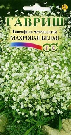 картинка Гипсофила Белая махровая 0,05г ц/п (СемАлт) метельчатая магазин Одежда+ являющийся официальным дистрибьютором в России 