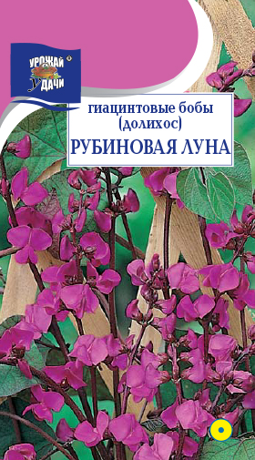 картинка Бобы Гиацинтовые (Долихос) Рубиновая луна 1г ц/п (УУ) магазин Одежда+ являющийся официальным дистрибьютором в России 