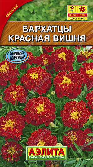 картинка Бархатцы Красная вишня 0,3г ц/п (Аэлита) 30см/5см  магазин Одежда+ являющийся официальным дистрибьютором в России 
