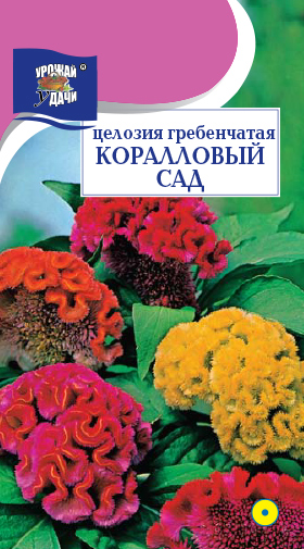 картинка Целозия гребенчатая Коралловый сад, смесь 0,2г ц/п (УУ) магазин Одежда+ являющийся официальным дистрибьютором в России 