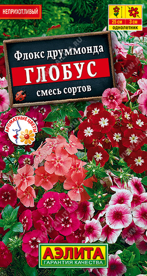 картинка Флокс Глобус 0,1г ц/п (Аэлита) карликовый смесь магазин Одежда+ являющийся официальным дистрибьютором в России 