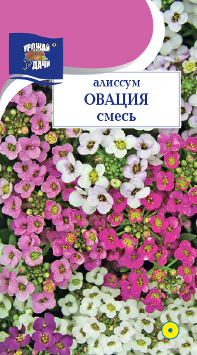 картинка Алиссум Овация, смесь 0,1г ц/п (УУ) магазин Одежда+ являющийся официальным дистрибьютором в России 