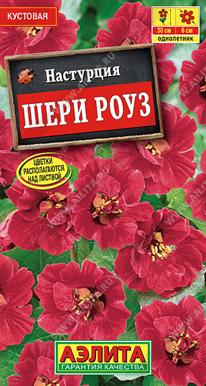картинка Настурция Шери Роуз 1г ц/п *(Аэлита) магазин Одежда+ являющийся официальным дистрибьютором в России 