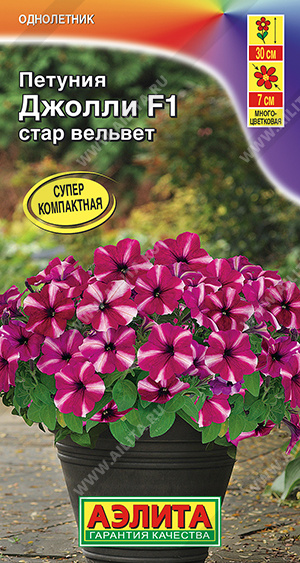 картинка Петуния Джолли стар вельвет F1 многоцветк. ц/п (Аэлита) магазин Одежда+ являющийся официальным дистрибьютором в России 
