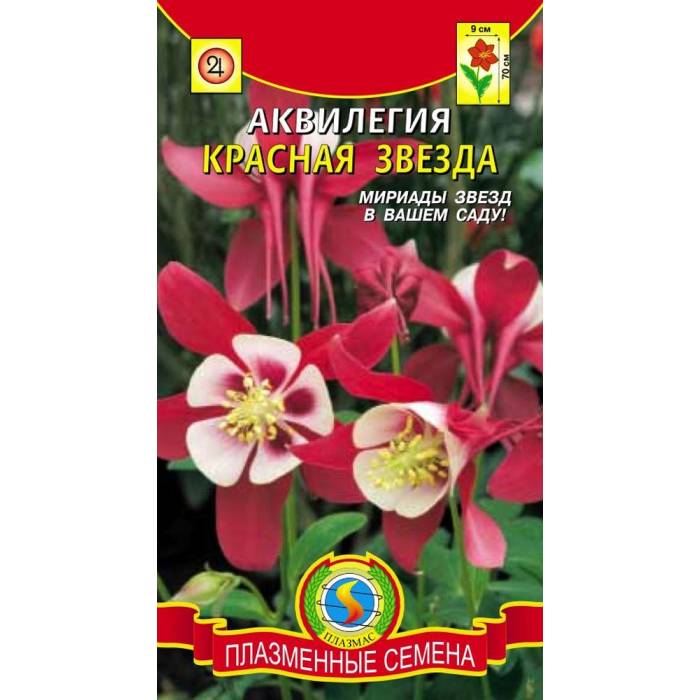 картинка Аквилегия Красная звезда 0,05г ц/п (ПлазмаС) магазин Одежда+ являющийся официальным дистрибьютором в России 