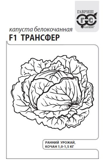 картинка Капуста Трансфер F1 0,05г б/п (Гавриш) магазин Одежда+ являющийся официальным дистрибьютором в России 