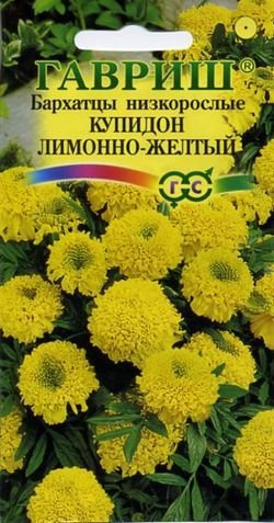 картинка Бархатцы Купидон лимонный 0,05г ц/п (Гавриш) 20см/12 магазин Одежда+ являющийся официальным дистрибьютором в России 