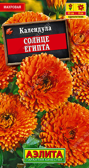 картинка Календула Солнце Египта 0,5г ц/п (Аэлита) махровая магазин Одежда+ являющийся официальным дистрибьютором в России 
