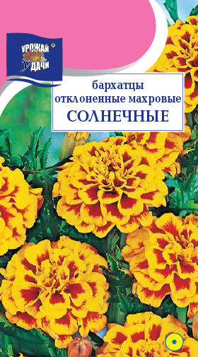картинка Бархатцы Солнечные 0,3г ц/п (УУ) 30см махр магазин Одежда+ являющийся официальным дистрибьютором в России 