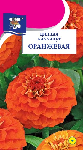 картинка Цинния Лиллипут Оранжевая 0,3г ц/п (УУ) магазин Одежда+ являющийся официальным дистрибьютором в России 
