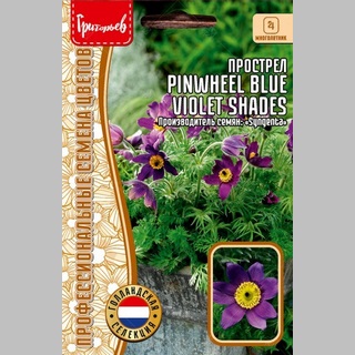 картинка Прострел Pinwheel Blue Violet Shades 3шт (Григорьев) магазин Одежда+ являющийся официальным дистрибьютором в России 