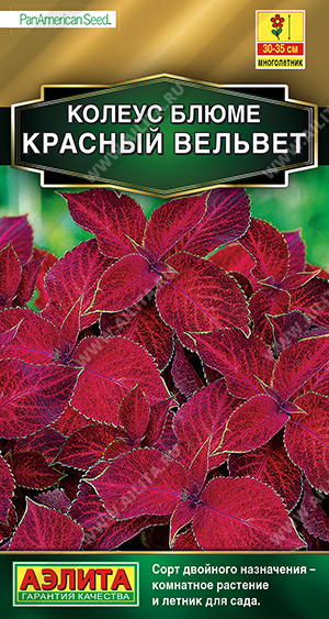 картинка Колеус Красный вельвет блюме 5шт ц/п (Аэлита) магазин Одежда+ являющийся официальным дистрибьютором в России 