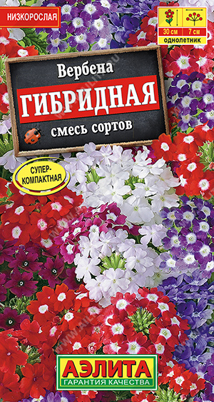 картинка Вербена Гибридная, смесь 0,1г ц/п (Аэлита) 25см магазин Одежда+ являющийся официальным дистрибьютором в России 