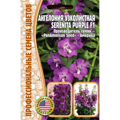 картинка Ангелония узколистная Serenita Purple F1 3шт (Григорьев) магазин Одежда+ являющийся официальным дистрибьютором в России 