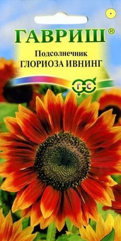 картинка Подсолнечник Глориоза Ивнинг 0,5г ц/п (Гавриш) магазин Одежда+ являющийся официальным дистрибьютором в России 