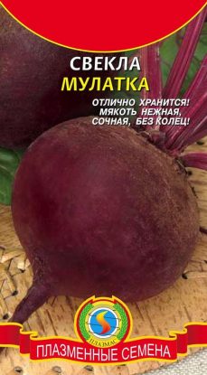 картинка Свекла Мулатка 2г б/п (ПлазмаС) магазин Одежда+ являющийся официальным дистрибьютором в России 