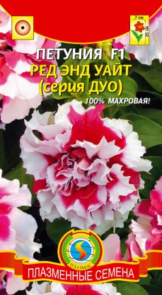 картинка Петуния Дуо Ред энд Уайт 10шт ц/п (ПлазмаС) магазин Одежда+ являющийся официальным дистрибьютором в России 