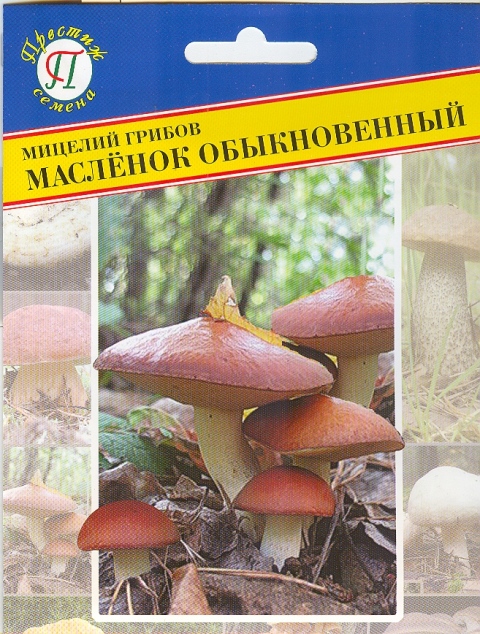 Мицелий грибов Маслёнок обыкновенный,50мл (Престиж)