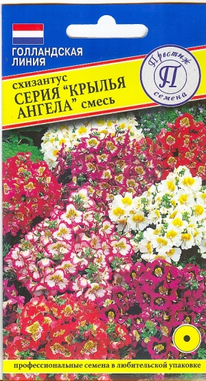 картинка Схизантус Крылья ангела смесь (РС-1) 0,1г (Престиж) магазин Одежда+ являющийся официальным дистрибьютором в России 