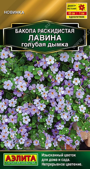 картинка Бакопа Лавина Голубая дымка 3шт ц/п (Аэлита) магазин Одежда+ являющийся официальным дистрибьютором в России 