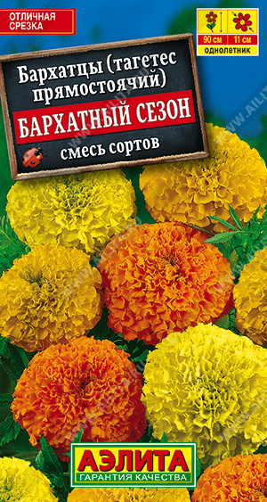 картинка Бархатцы Бархатный сезон ц/п (Аэлита) прямостоячие магазин Одежда+ являющийся официальным дистрибьютором в России 