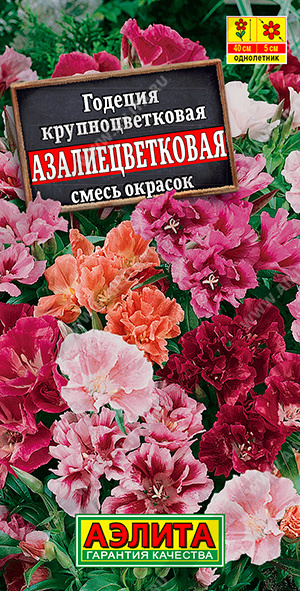 картинка Годеция Азалиецветковая, махровая смесь 0,05г ц/п (Аэлита) магазин Одежда+ являющийся официальным дистрибьютором в России 