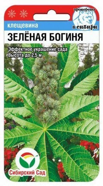 картинка Клещевина Зеленая богиня 5шт (СибСад) магазин Одежда+ являющийся официальным дистрибьютором в России 