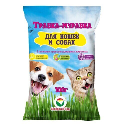 картинка Трава для кошек Травка-муравка 100г (СибСад) магазин Одежда+ являющийся официальным дистрибьютором в России 