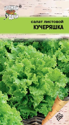 картинка Салат Кучеряшка 0,5г ц/п (УУ)  магазин Одежда+ являющийся официальным дистрибьютором в России 