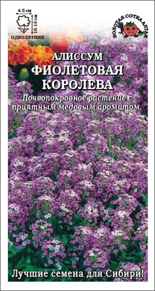 картинка Алиссум Фиолетовая королева 0,1г ц/п (З/Сотка) магазин Одежда+ являющийся официальным дистрибьютором в России 